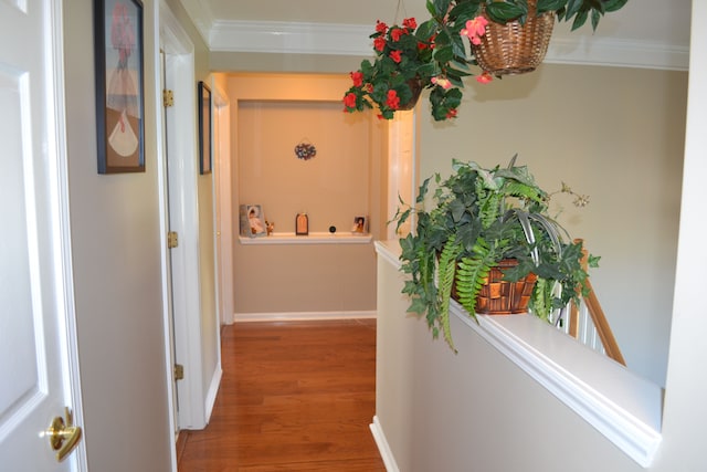 corridor featuring hardwood / wood-style floors and crown molding