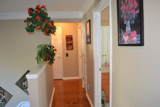 corridor with hardwood / wood-style flooring and crown molding