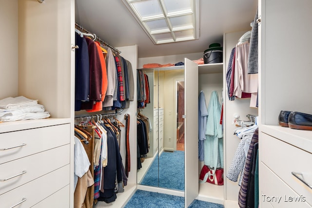 walk in closet with light carpet