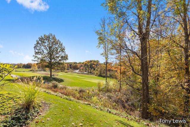 surrounding community featuring a yard