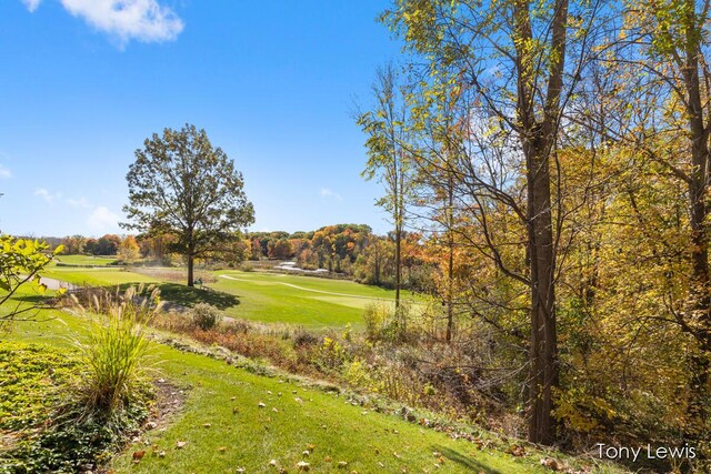610 Cascade Hills Holw SE, Grand Rapids, MI 49546 - view of community with golf course view and a lawn