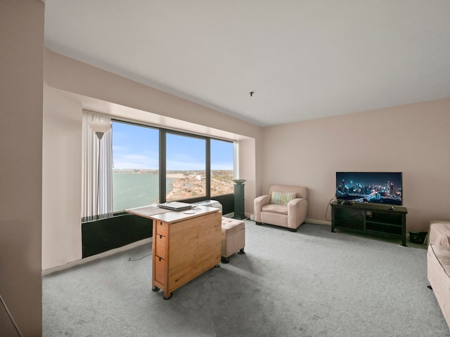 view of carpeted living room