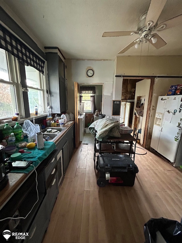 kitchen with ceiling fan, sink, light hardwood / wood-style flooring, white refrigerator with ice dispenser, and a textured ceiling