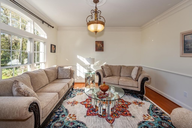 living room with hardwood / wood-style floors and ornamental molding