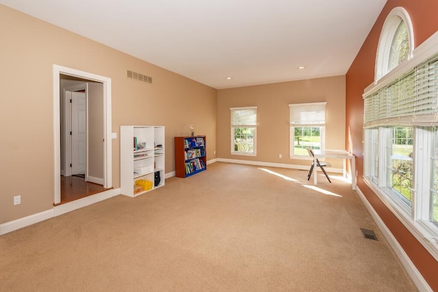 interior space with carpet and a wealth of natural light