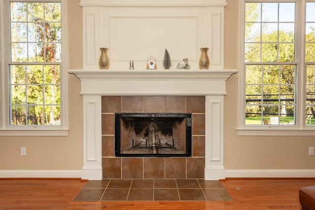 room details featuring a fireplace and wood-type flooring