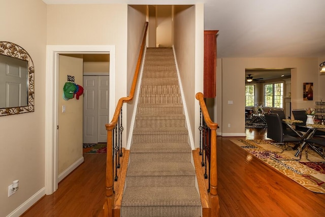 stairway with ceiling fan and hardwood / wood-style flooring