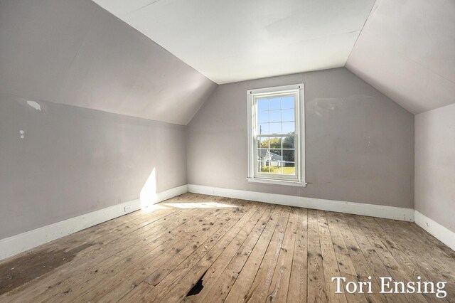 421 Lewis St, Belding, MI 48809 - additional living space with wood-type flooring, baseboards, and lofted ceiling
