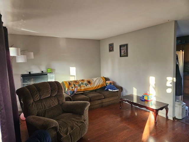 living room featuring dark hardwood / wood-style flooring