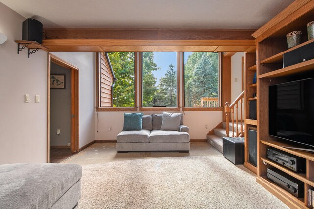 view of carpeted living room