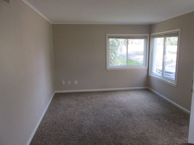 carpeted spare room featuring crown molding