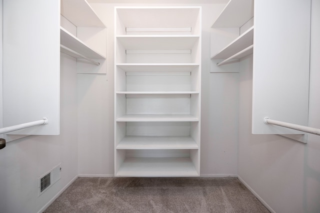 spacious closet with carpet