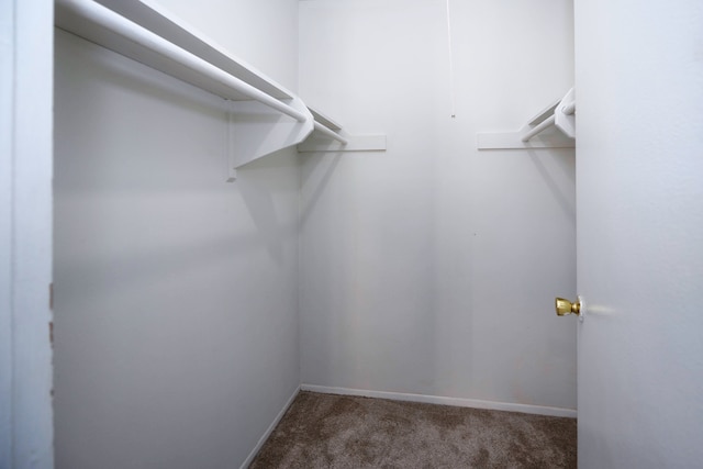 walk in closet with dark colored carpet