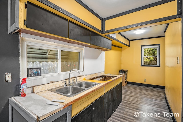 kitchen with black electric cooktop, dark hardwood / wood-style floors, ornamental molding, and sink