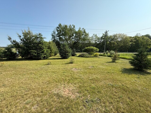 2702 E Hoague Rd, Michigan, MI 49411 - view of green lawn