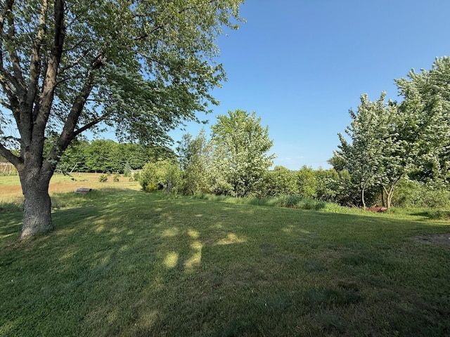 2702 E Hoague Rd, Michigan, MI 49411 - view of grassy yard