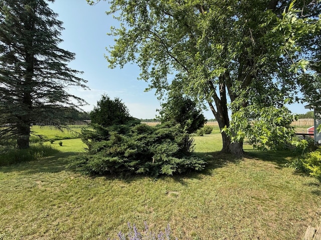 2702 E Hoague Rd, Michigan, MI 49411 - view of green lawn