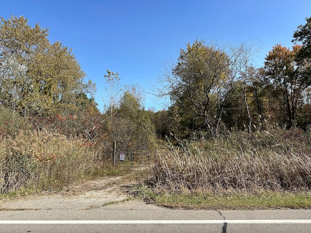 29019 Sumpter Rd, New Boston MI, 48164 land for sale