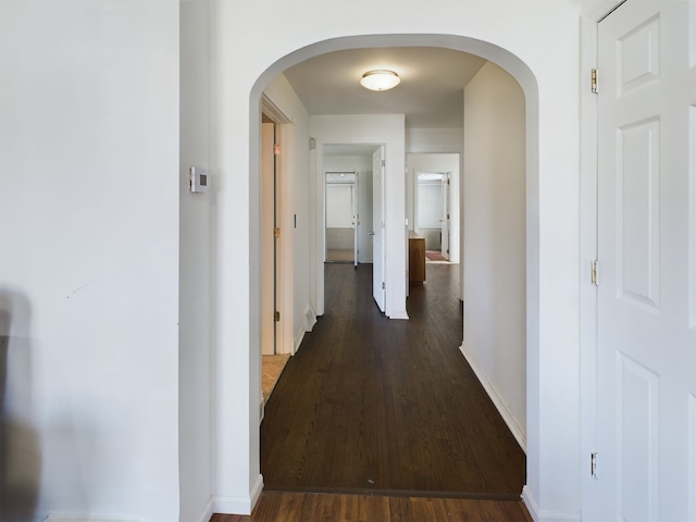 hall with dark hardwood / wood-style flooring