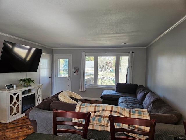 living room with dark hardwood / wood-style flooring and ornamental molding