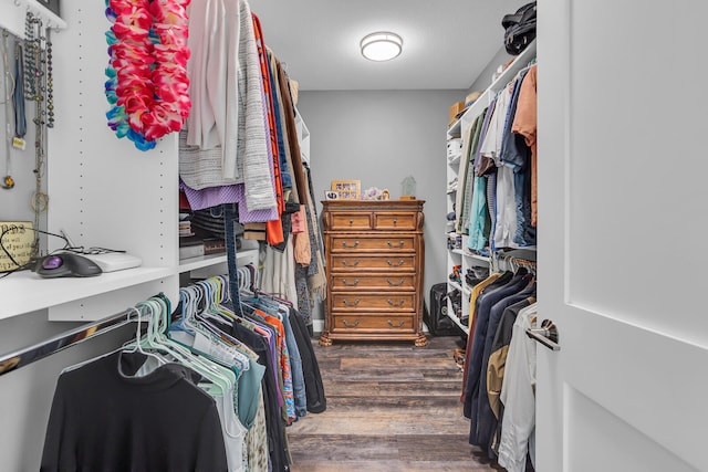 spacious closet with dark hardwood / wood-style flooring