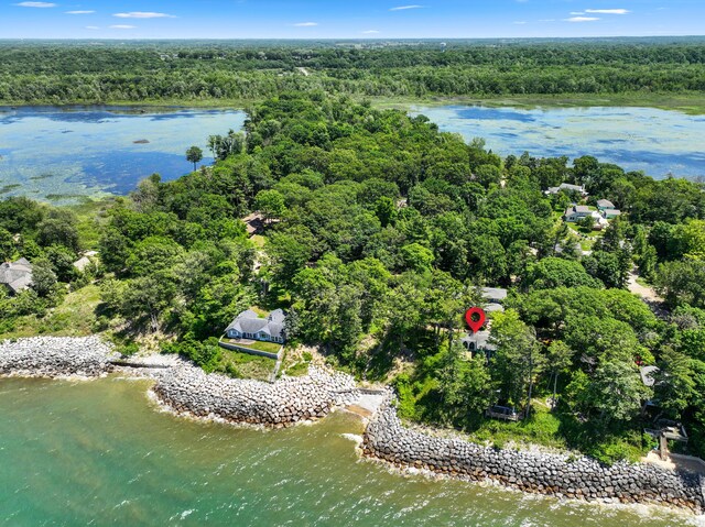 5876 Dunham Ln, Stevensville, MI 49127 - aerial view of a heavily wooded area and a large body of water