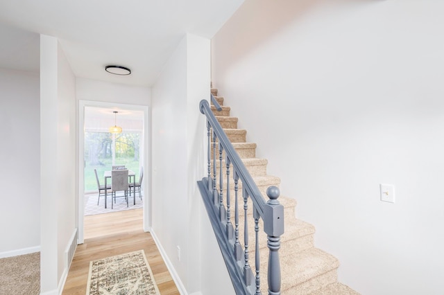 staircase featuring wood-type flooring