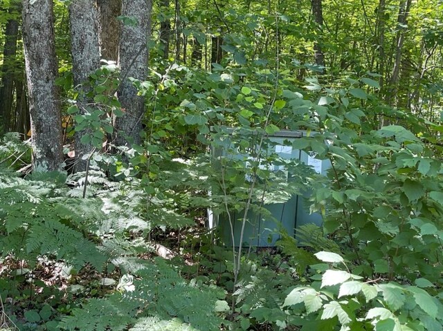 LOT789 Redwine Dr, Houghton Lake, MI 48653