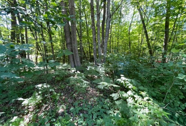 LOT789 Redwine Dr, Houghton Lake, MI 48653