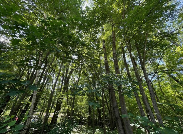 LOT789 Redwine Dr, Houghton Lake, MI 48653