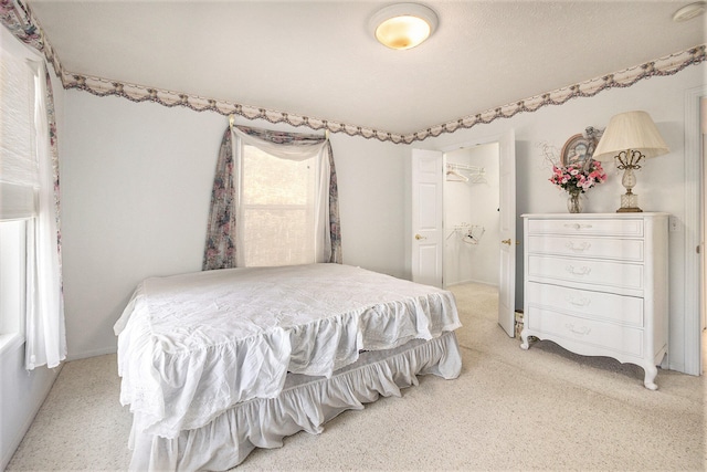 bedroom with a spacious closet and a closet