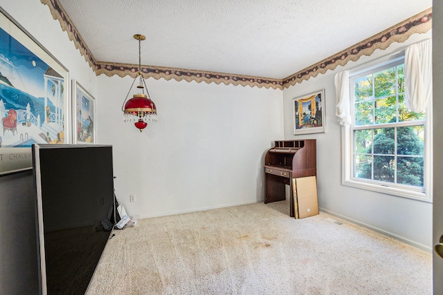 misc room with carpet flooring and a textured ceiling