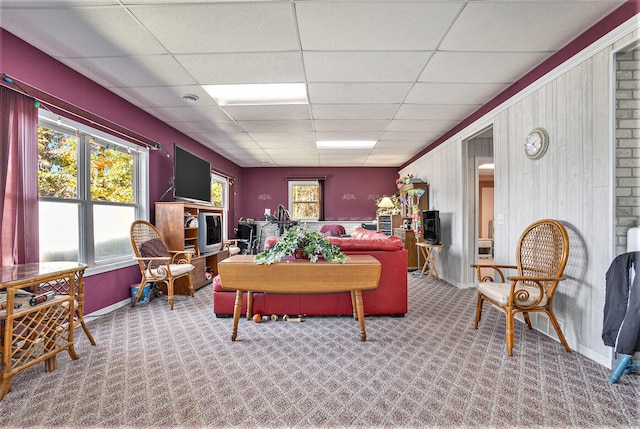 carpeted living room featuring a paneled ceiling