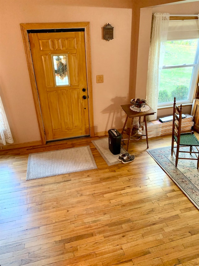 foyer entrance with light hardwood / wood-style flooring