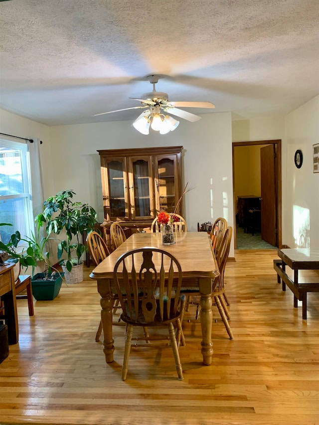 dining room featuring ceiling fan, light wood-type flooring, and a textured ceiling