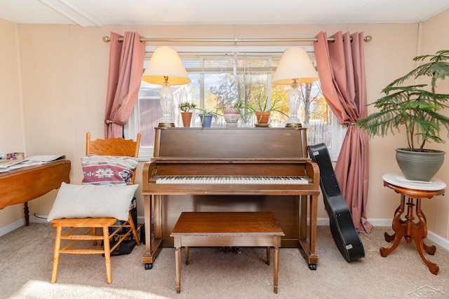 misc room with light colored carpet