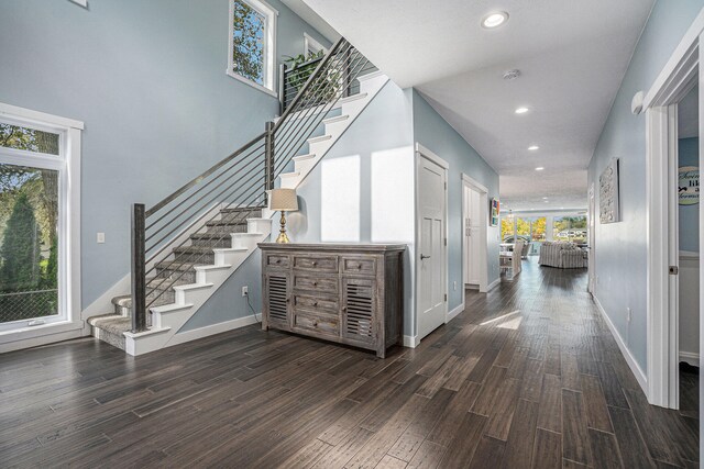 hall featuring a wealth of natural light and dark wood-type flooring