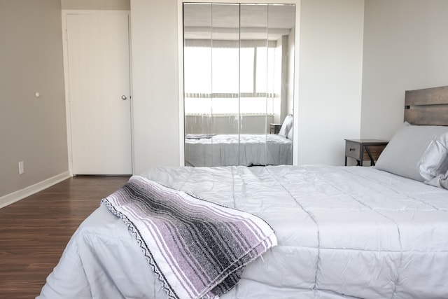 bedroom featuring a closet and dark wood-type flooring