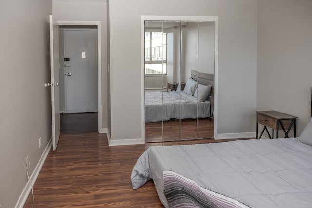 bedroom featuring a closet and dark wood-type flooring