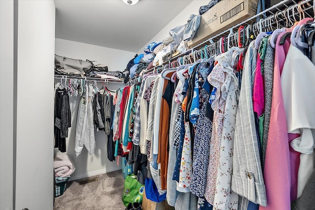 walk in closet featuring carpet flooring