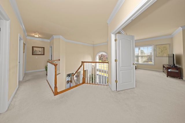 hall featuring light colored carpet and crown molding