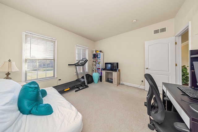 bedroom featuring light colored carpet