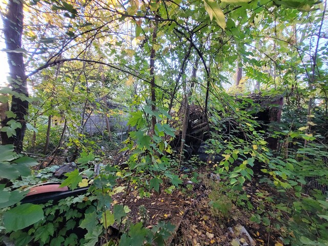 4824 Cortland St, Detroit, MI 48204 - view of local wilderness