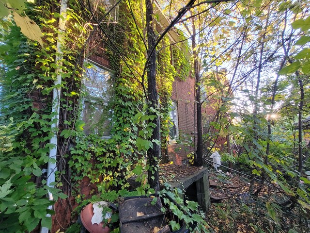 4824 Cortland St, Detroit, MI 48204 - view of local wilderness