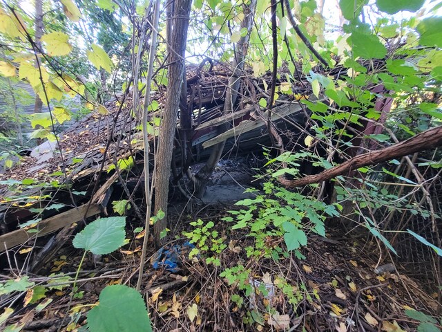 4824 Cortland St, Detroit, MI 48204 - view of undeveloped land