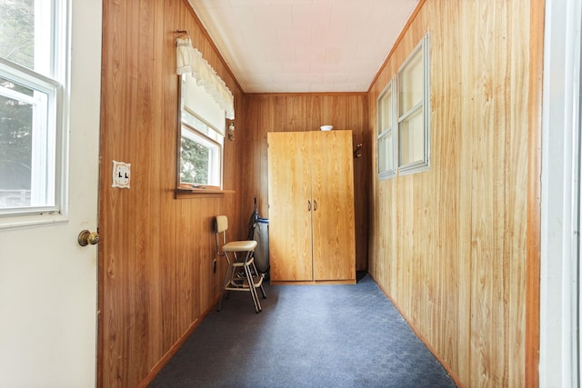 doorway with wooden walls