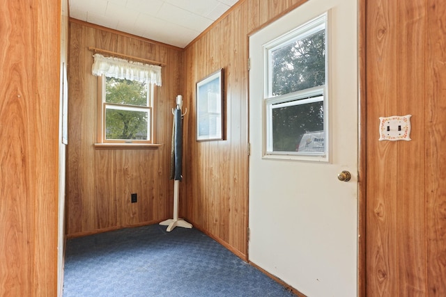 doorway to outside featuring wood walls and carpet floors