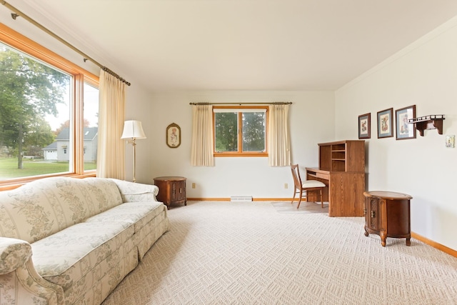 interior space with crown molding and plenty of natural light