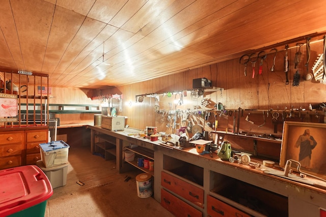 kitchen with wood walls, carpet floors, and wood ceiling