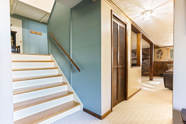 staircase with carpet flooring